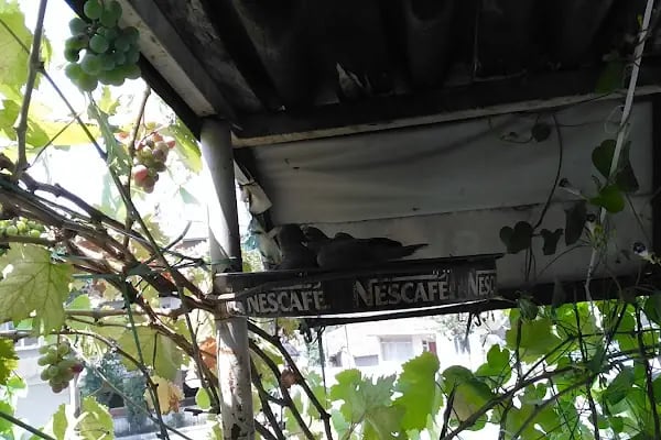 ŞEREF ERKEK KUAFÖRÜ - Resim 10