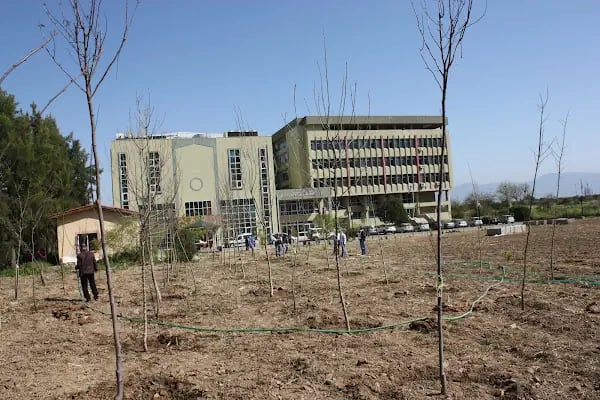 Dokuz Eylül Üniversitesi Güzel Sanatlar Fakültesi - Resim 13