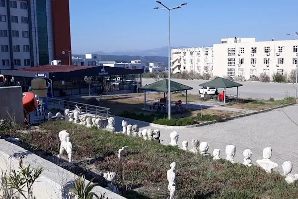 Dokuz Eylül Üniversitesi Güzel Sanatlar Fakültesi - Resim 17