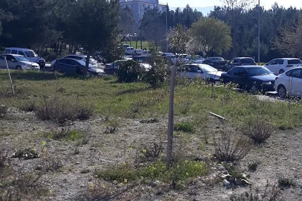 Dokuz Eylül Üniversitesi Güzel Sanatlar Fakültesi - Resim 12