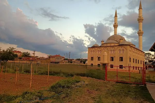 Osmanli Astürk - Resim 16