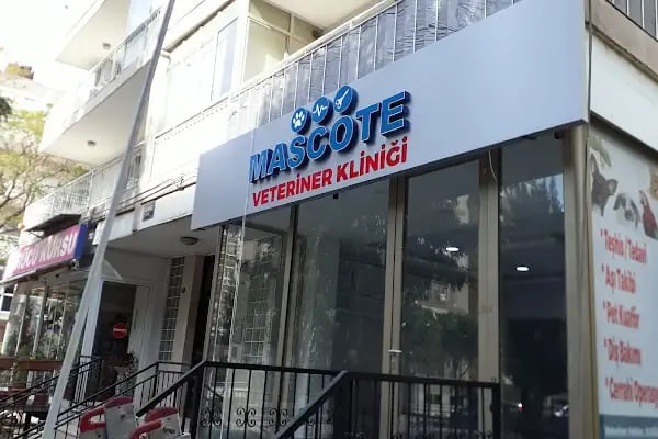 Mascote Veteriner Bornova - Resim 20