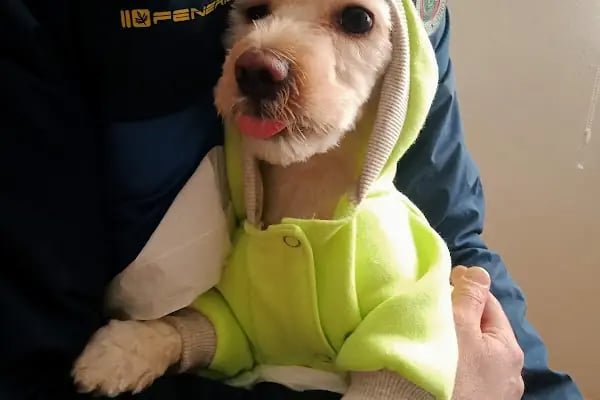 Mascote Veteriner Bornova - Resim 10