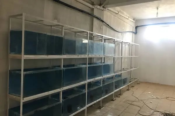 Bergama Samsung Televizyon Ve Beyaz Eşya Yetkili Servis Ertik Soğutma - Resim 5