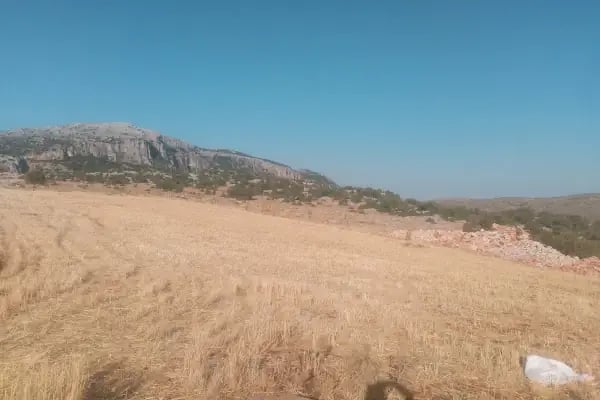 Sof Dağı Milli Parkı - Resim 3