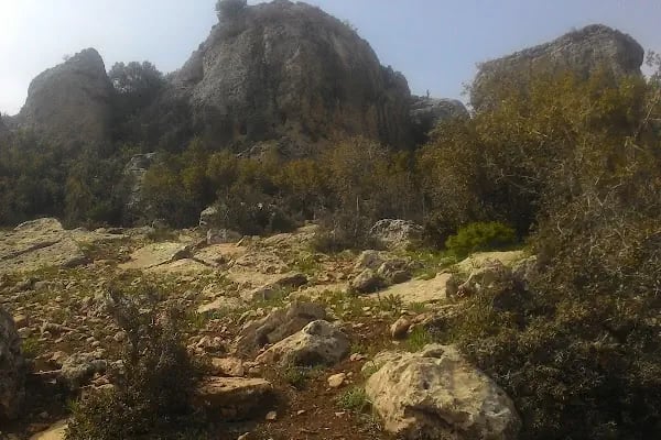 Sof Dağı Milli Parkı - Resim 20