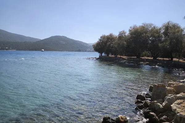 Torba Halk Plajı - Resim 2