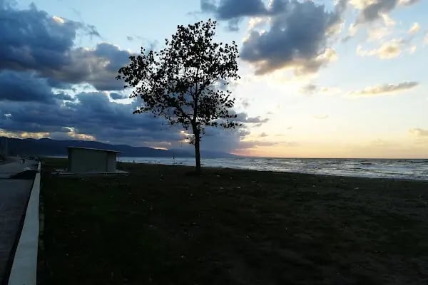 Geyikkoşan Plajı - Resim 6