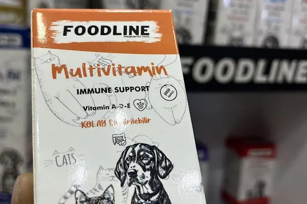 HIÇKIDIK PETSHOP AKVARYUM İZMİT - Resim 9
