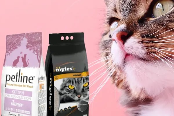 Veteriner Cat Dogtor - Resim 12