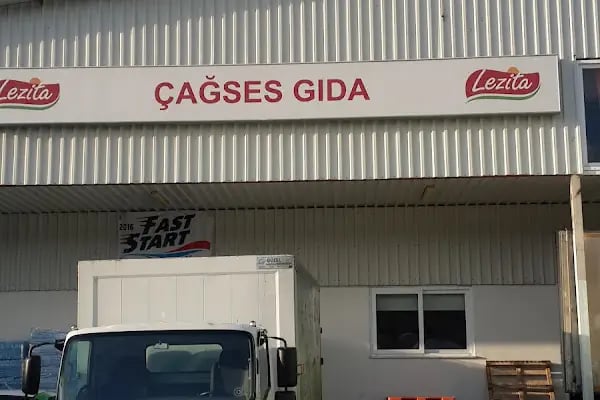 Çağses Gıda - Resim 6