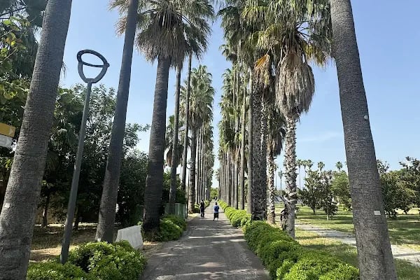 Antalya Expo Kongre Merkezi - Resim 3