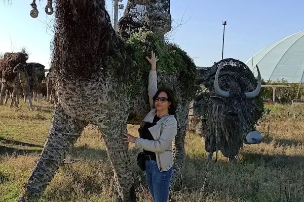Antalya Expo Kongre Merkezi - Resim 18
