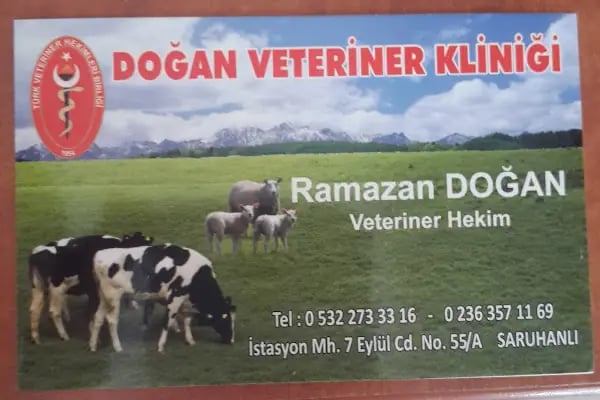 Doğan Veteriner Kliniği - Resim 2
