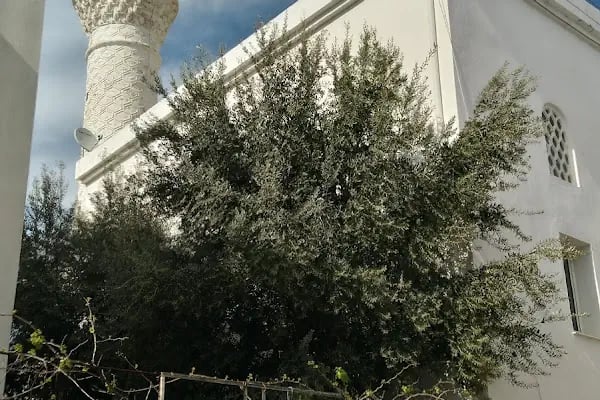 Umurca Cami - Resim 1