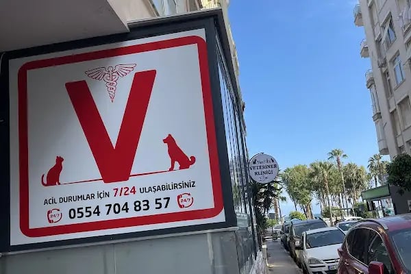 VETFLİX VETERİNER KLİNİĞİ - Resim 2