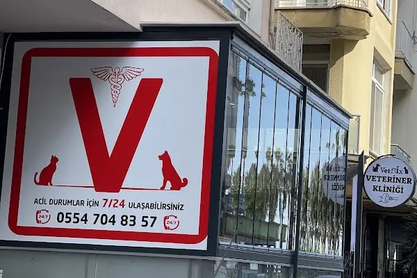 VETFLİX VETERİNER KLİNİĞİ - Resim 14