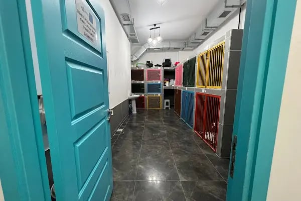 Carnivet Veteriner Kliniği - Resim 4