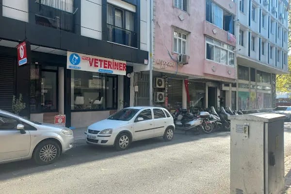 Güneşli Petliv Veteriner Kliniği - Resim 2