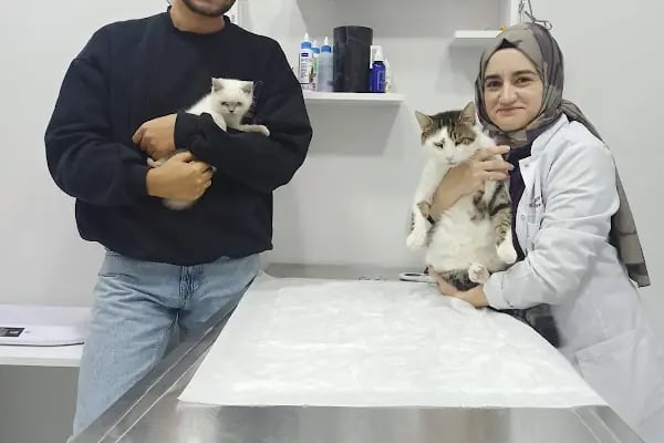 Güneşli Petliv Veteriner Kliniği - Resim 4