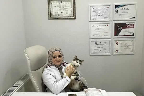 Güneşli Petliv Veteriner Kliniği - Resim 15