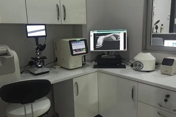 Güneşli Petliv Veteriner Kliniği - Resim 5