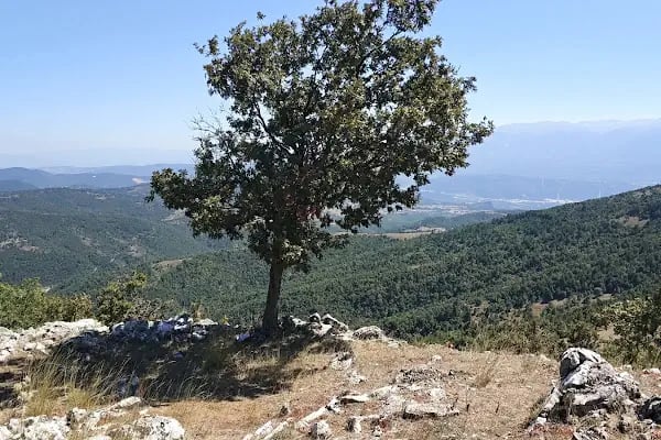 Ericek Gölü Festival Alani - Resim 20