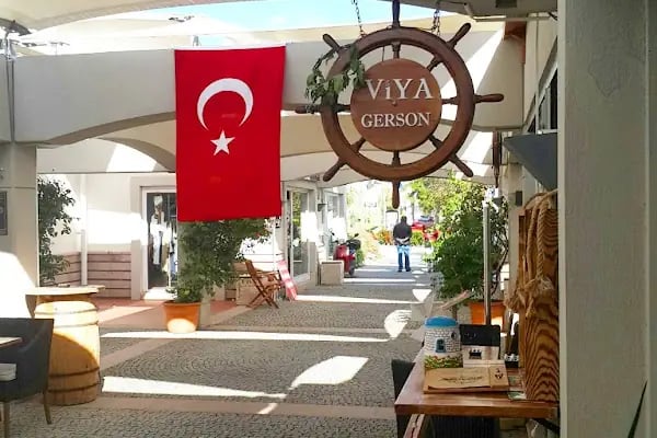 VİYA GERSON - Resim 1