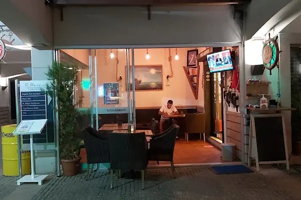 VİYA GERSON - Resim 17