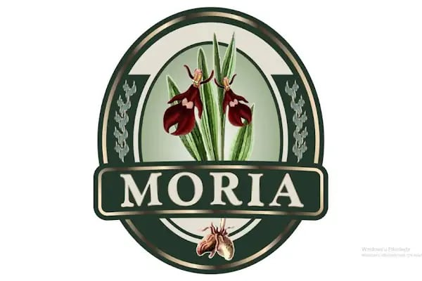 MORİA GIDA SANAYİ TİCARET A.Ş. - Resim 11