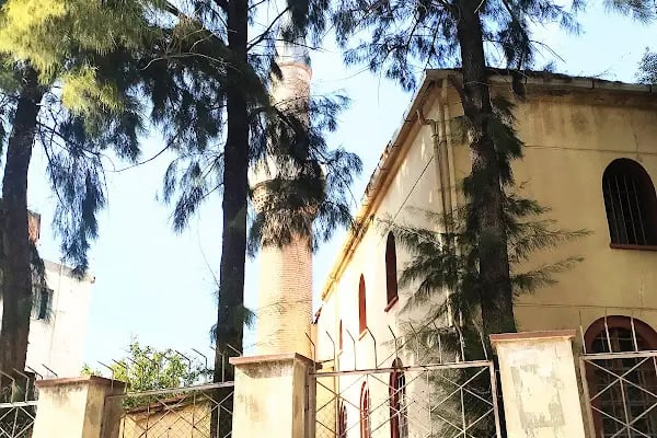 T.C Izmir Konak Müftülüğü Merkez Şeyh Camii - Resim 12