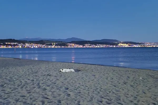 Aliağa halk plajı - Resim 11