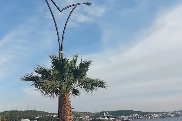 Aliağa halk plajı - Resim 17