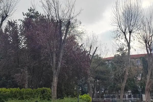 ASBÜ İlahiyat Fakültesi - Resim 13