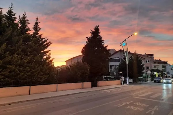 Barbaros Mahalle Muhtarlığı - Resim 1
