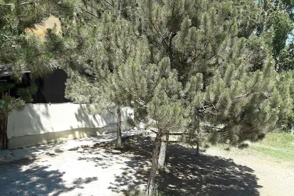 Yeşildere Orman Parkı - Resim 7