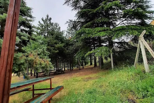 Yeşildere Orman Parkı - Resim 17