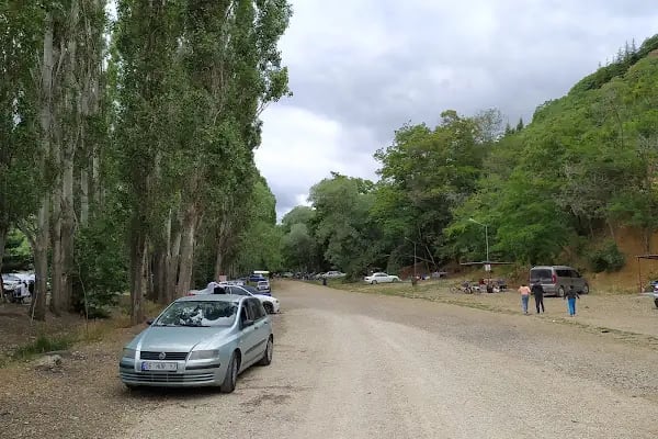 Yeşildere Orman Parkı - Resim 6