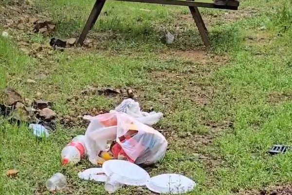 Yeşildere Orman Parkı - Resim 19