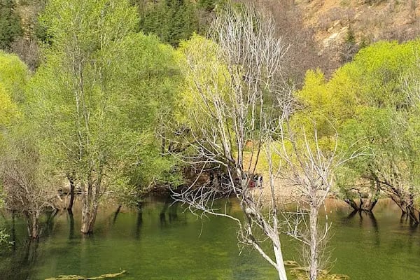 Yeşildere Orman Parkı - Resim 16