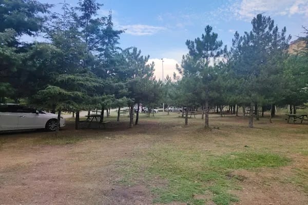 Yeşildere Orman Parkı - Resim 2