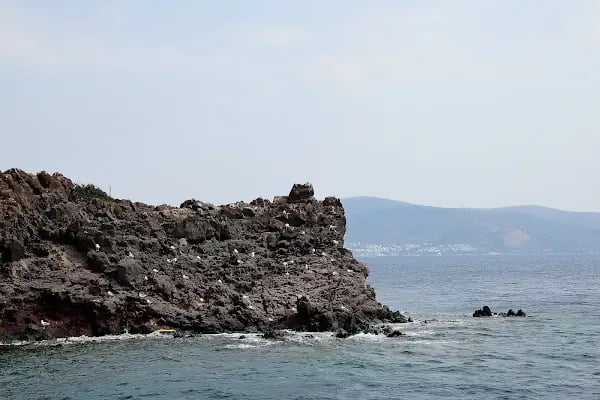 Gümbet Limanı - Resim 10
