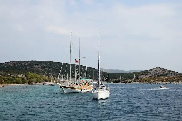 Gümbet Limanı - Resim 2