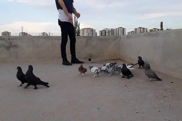 Çocuk Oyun Parkı - Resim 17