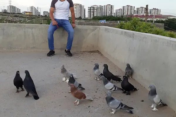 Çocuk Oyun Parkı - Resim 15