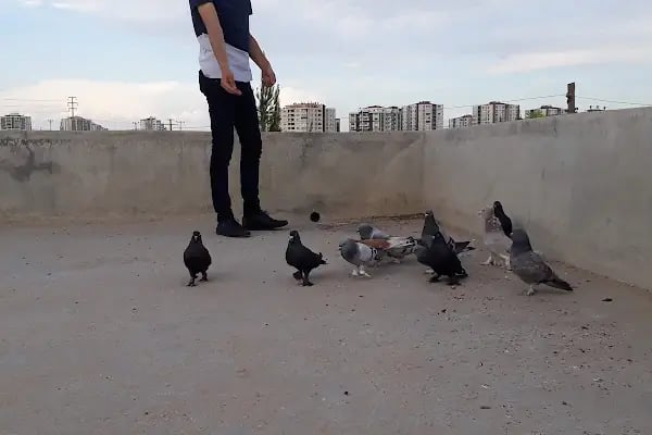 Çocuk Oyun Parkı - Resim 1