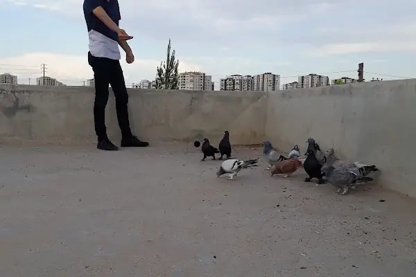 Çocuk Oyun Parkı - Resim 19