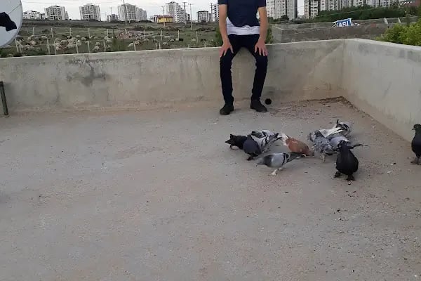 Çocuk Oyun Parkı - Resim 16