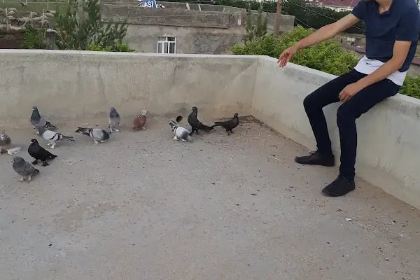 Çocuk Oyun Parkı - Resim 18