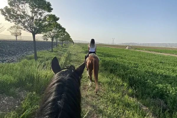 MALATYA ATLI SAFARİ KULÜBÜ - Resim 13